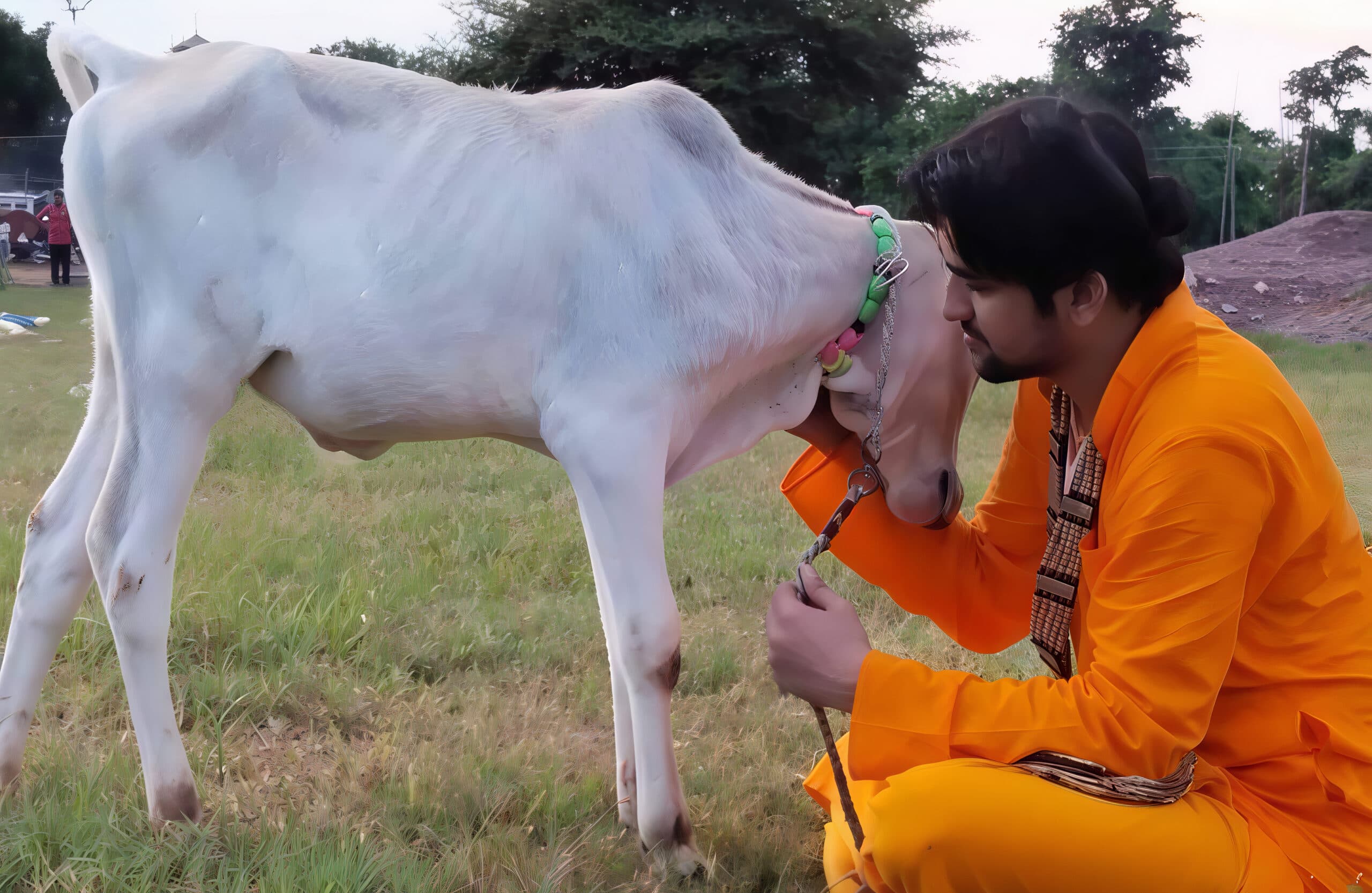 गौ रक्षा गैलरी 3